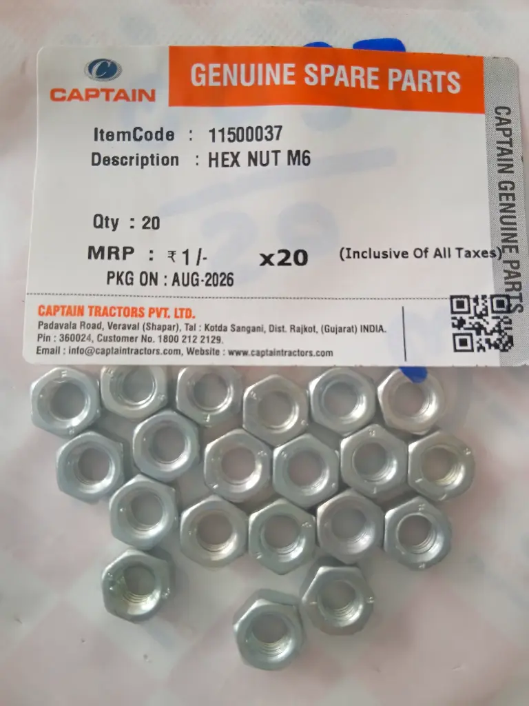 HEX NUT M6