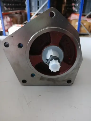 [11202129] TANDUM PUMP HYDRAULIC (4020 ANTI COCK)