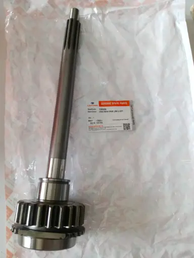 [11203226] GEAR MAIN DRIVE (349 L) (CP)