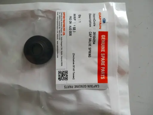 [39104294] CAP VALVE SPRING